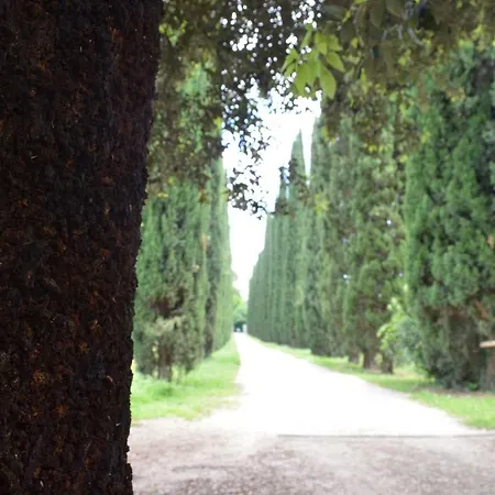 Casale Colleoni Bed & Breakfast Tivoli